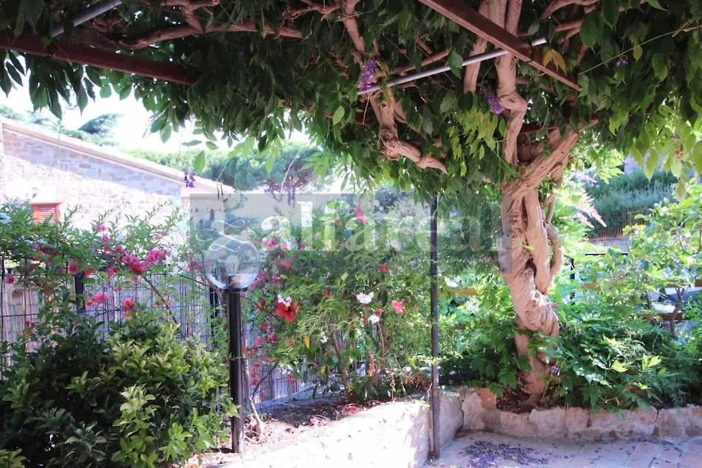 Mono Glicine, Aria Condizionata E Veranda! By Alfareal Castiglione della Pescaia Italy